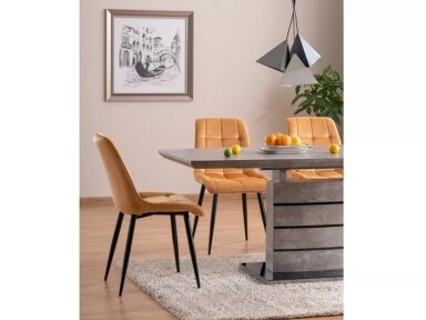 Kėdė SCH83956 Kėdė SCH83956