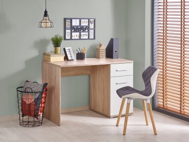 Darbo stalas LI65026